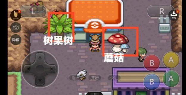 口袋妖怪-去吧伊布3.0汉化