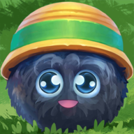 黑茸茸最终修改版