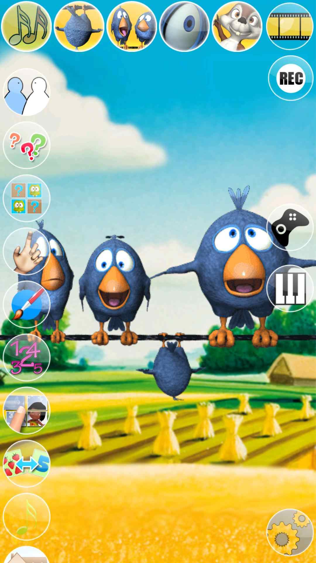 会说话的鸟儿 会说话的鸟儿