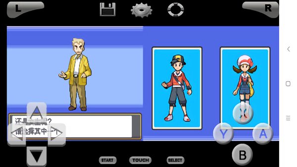 口袋妖怪-魂银版