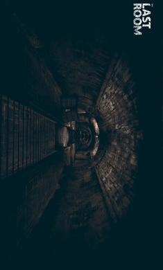 最后一个房间游戏完整版下载