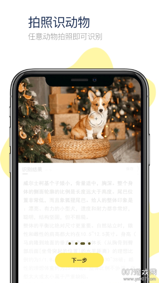 全能拍拍 全能拍拍