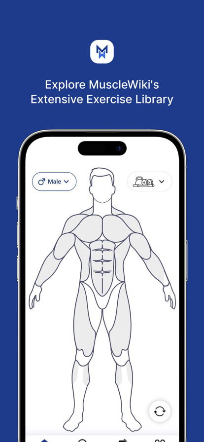 MuscleWiki安卓app下载官方2023最新版