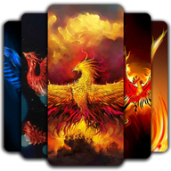 Phoenix Wallpaper凤凰壁纸