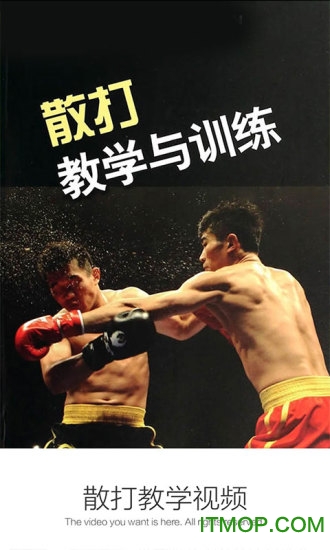 散打教学视频 散打教学视频