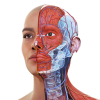 complete anatomy 2022手机版