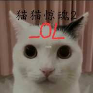 猫猫惊魂2_OL
