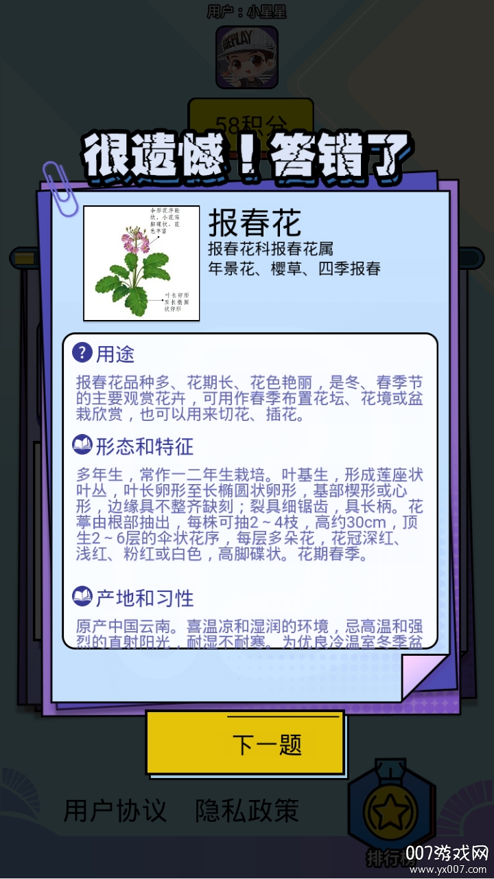 爱上鲜花