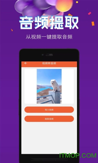 音频提取格式转换