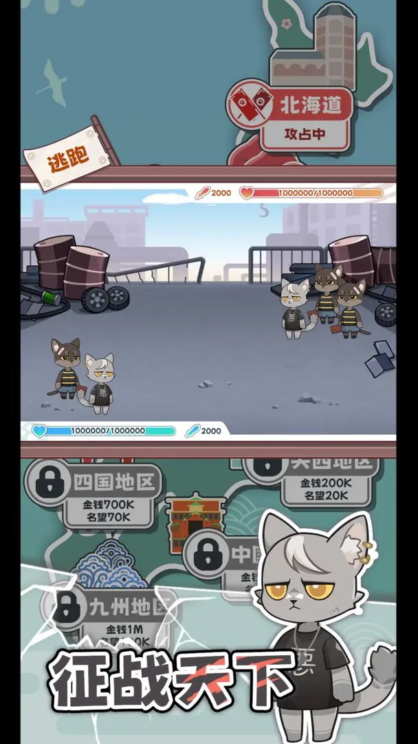 社会我猫哥 社会我猫哥