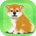 养育柴犬的治愈游戏