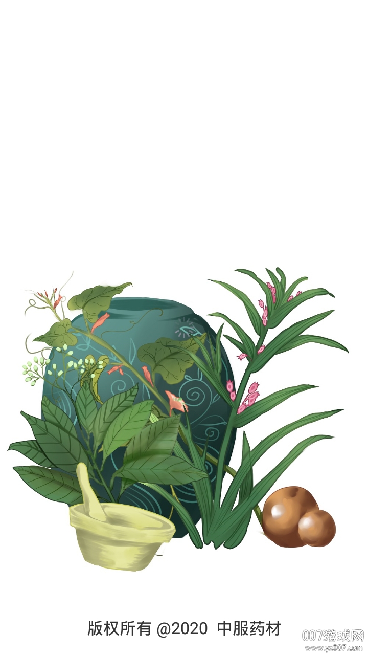 中服药材 中服药材