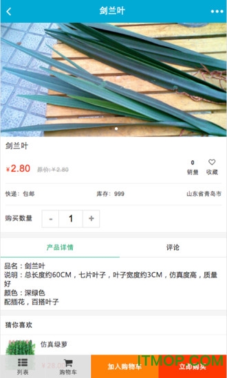 山东花艺培训网