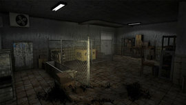 流浪猫的故事 流浪猫的故事