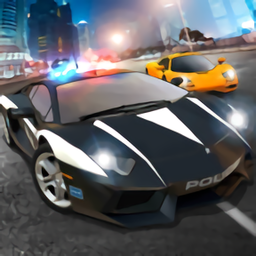 我的驾驶生涯最新版(DrivingCareer)