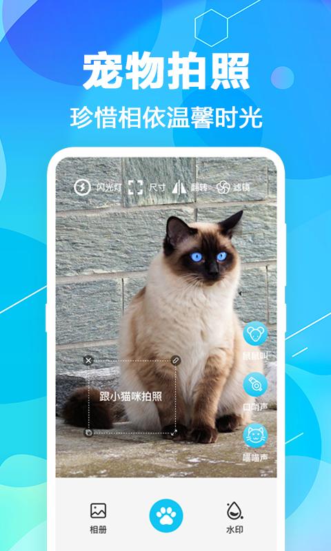 猫语翻译pet app手机版 猫语翻译pet app手机版