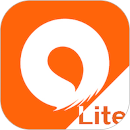 书上说Lite