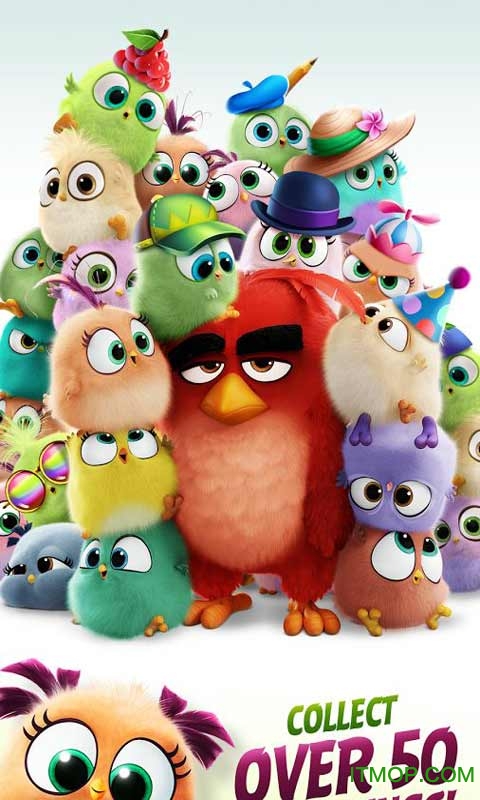 愤怒的小鸟匹配