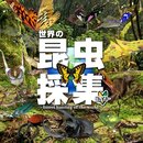 世界の昆虫採集 ライト版