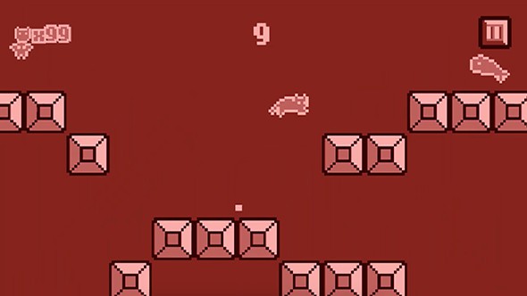 像素猫咪 像素猫咪