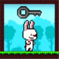 Rabbit Runner