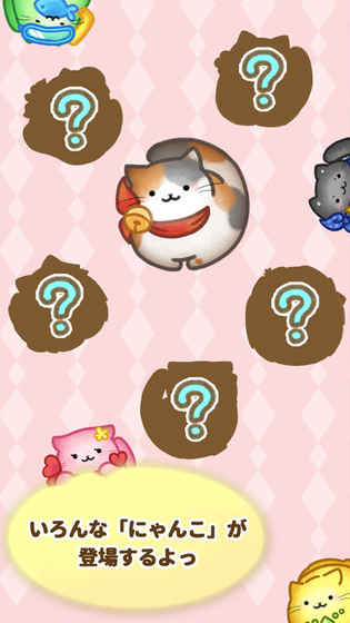 にゃんこね にゃんこね