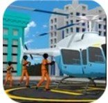 斯蒂克曼囚犯运输:警察飞机