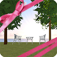 先住者からのプレゼント Present from owner