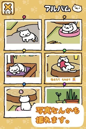 猫咪后院 中文版