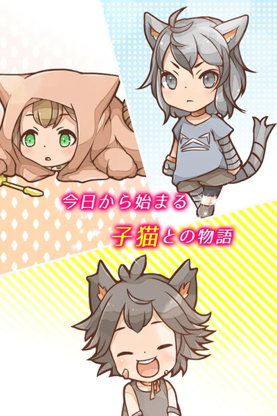 我与小猫共处一室 我与小猫共处一室