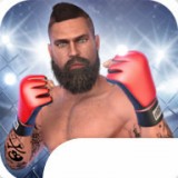 MMA Fighting Clash虫虫助手安装器