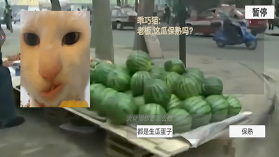 猫meme搞怪冒险 猫meme搞怪冒险