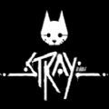 迷失Stray