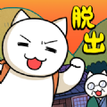 ネコと秘密の宝