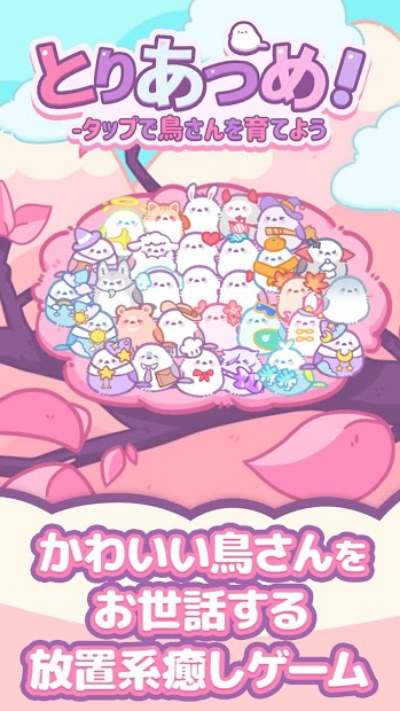 收集雏鸟吧! 收集雏鸟吧!