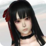 黑暗之源1.1激活码