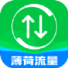 薄荷流量