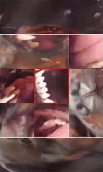 福尔摩斯失踪的侦探