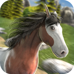 Cowboys Horse Racing