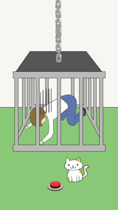 我的猫咪在哪儿?