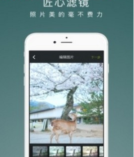 老福特lofter 官网网页版