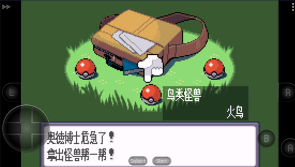 口袋妖怪蓝宝石 中文版