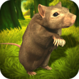 Mouse Simulator 2019
