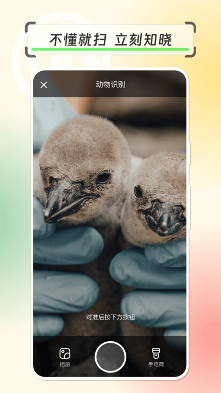 拍物轻松识 拍物轻松识