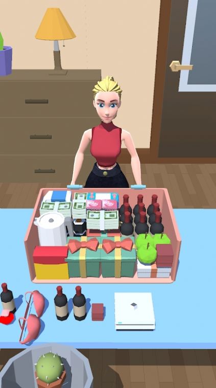 收拾行李3D 收拾行李3D