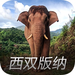 亚洲象预警