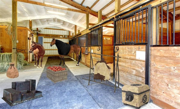 Vintage Village House Escape