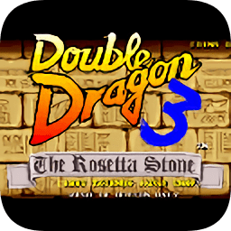Double Dragon III