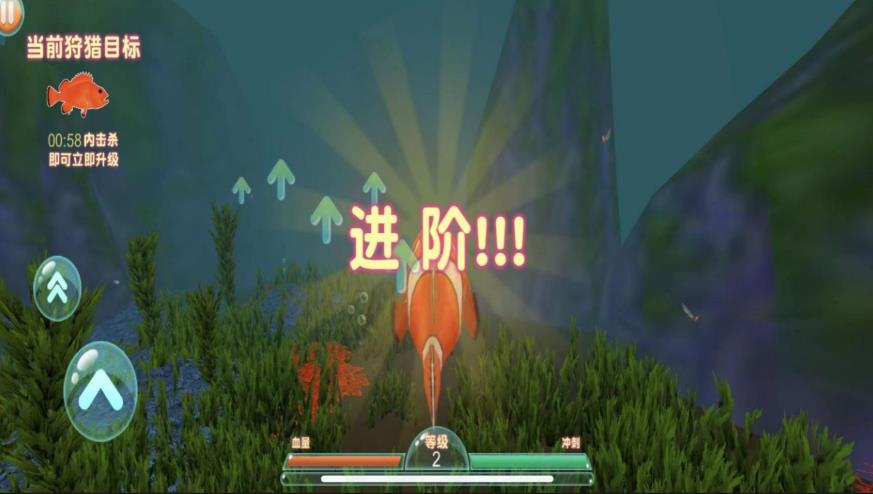 海洋之心无尽进化