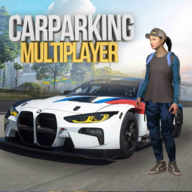 Car Parking安装器